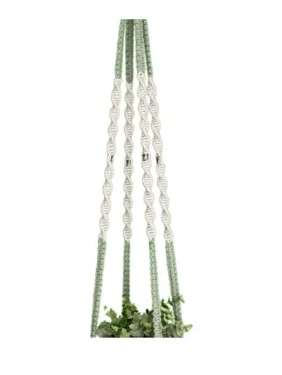TT Sage Natural Long Close.webp