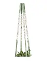 TT Sage Natural Long Close.webp