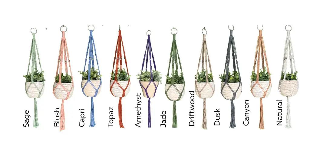 Short Hangers.webp