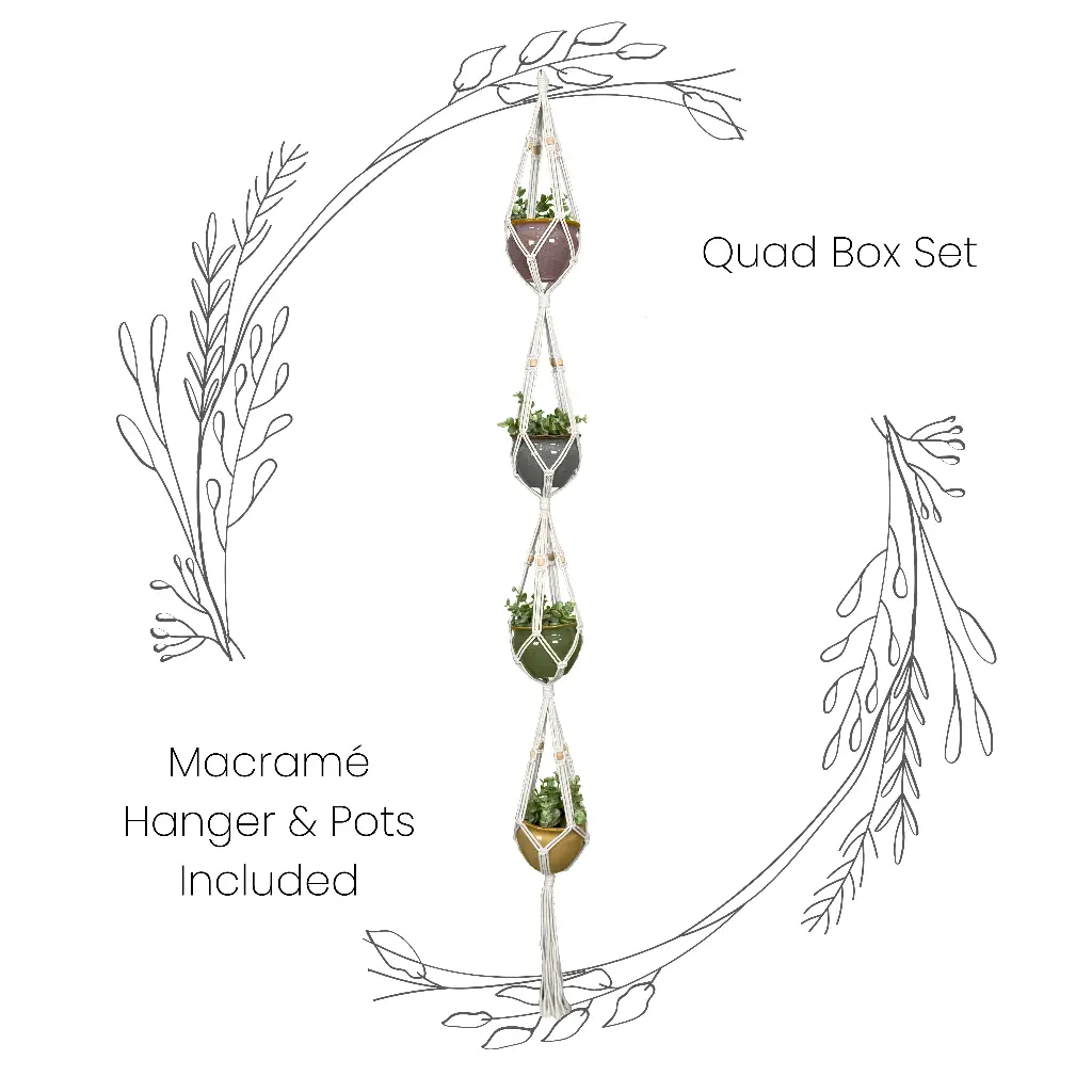 Box Set: Quad Macramé Plant Hanger & 4 Ceramic Pots
