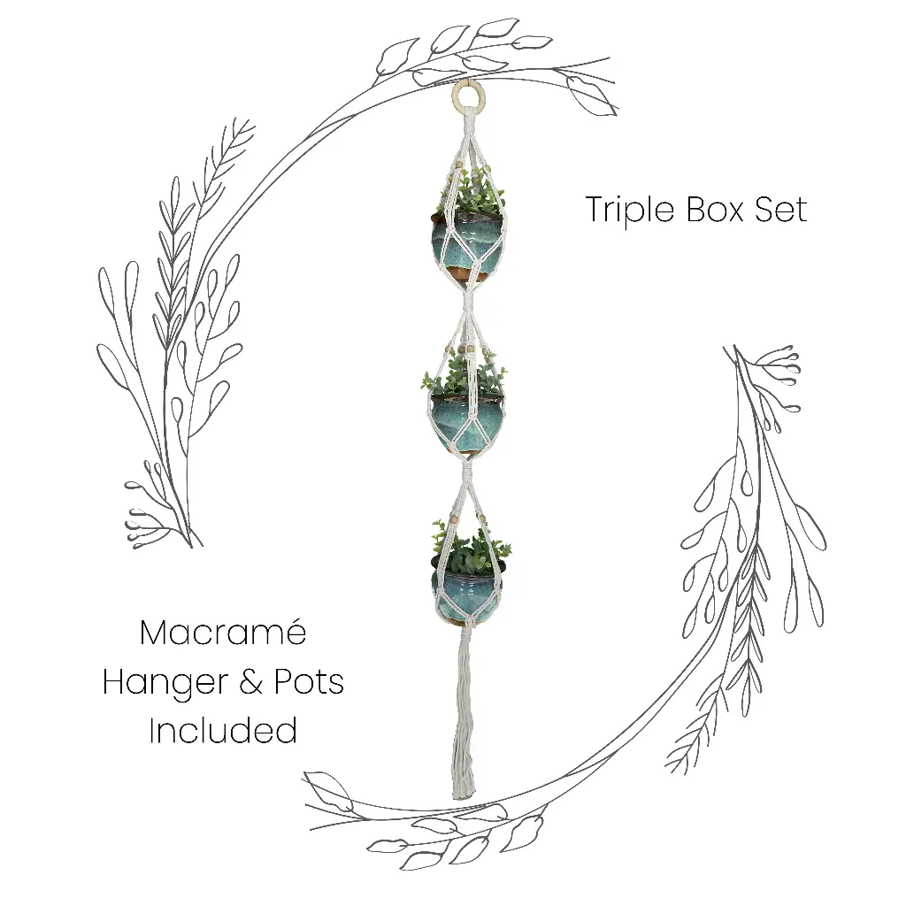 Box Set: Triple Macramé Plant Hanger & 3 Ceramic Pots