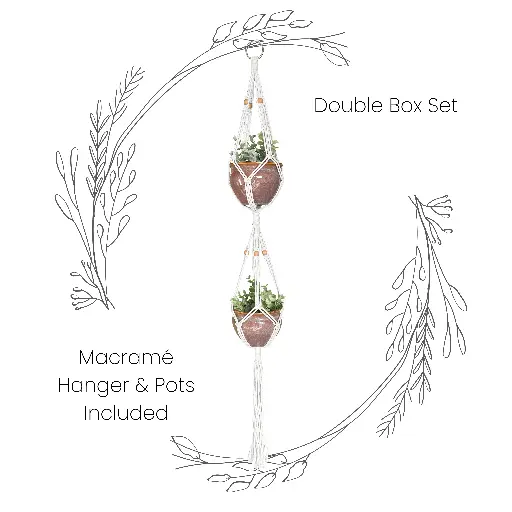 Box Set: Double Macramé Plant Hanger &  2 Ceramic Pots