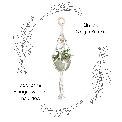 Box Set: Simple Single Macramé Plant Hanger & Ceramic Pot
