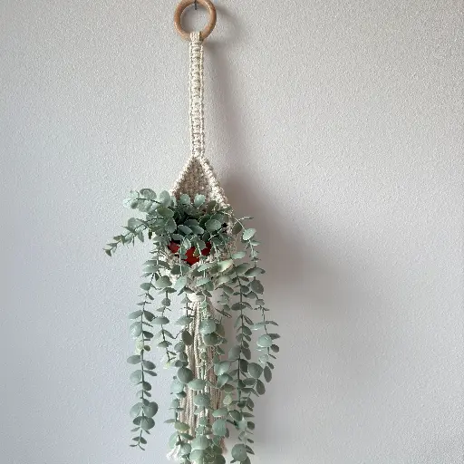 Macramé Air Plant Holders