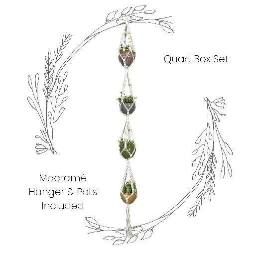 [R-PQ-015-RNB-04] Box Set: Quad Macramé Plant Hanger & 4 Ceramic Pots