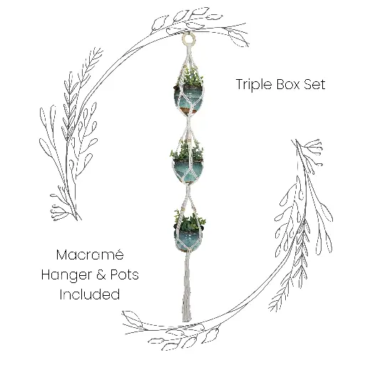 [R-PT-014-VAR-03] Box Set: Triple Macramé Plant Hanger & 3 Ceramic Pots