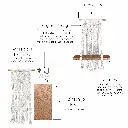 12shelf Bullets.webp