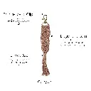 Individual Boho Clip - Canyon Bullets.webp