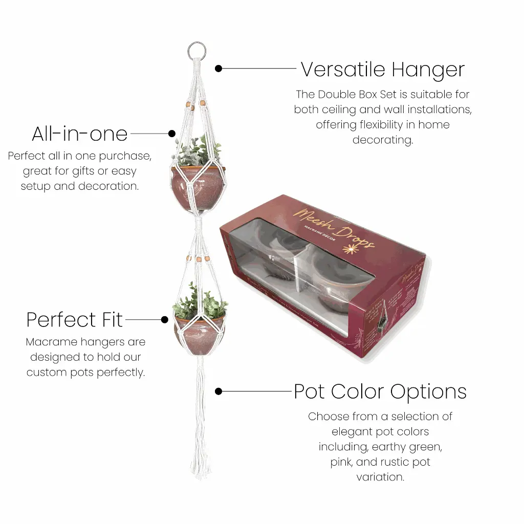 Double Box Set Bullets.webp