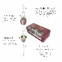 Double Box Set Bullets.webp