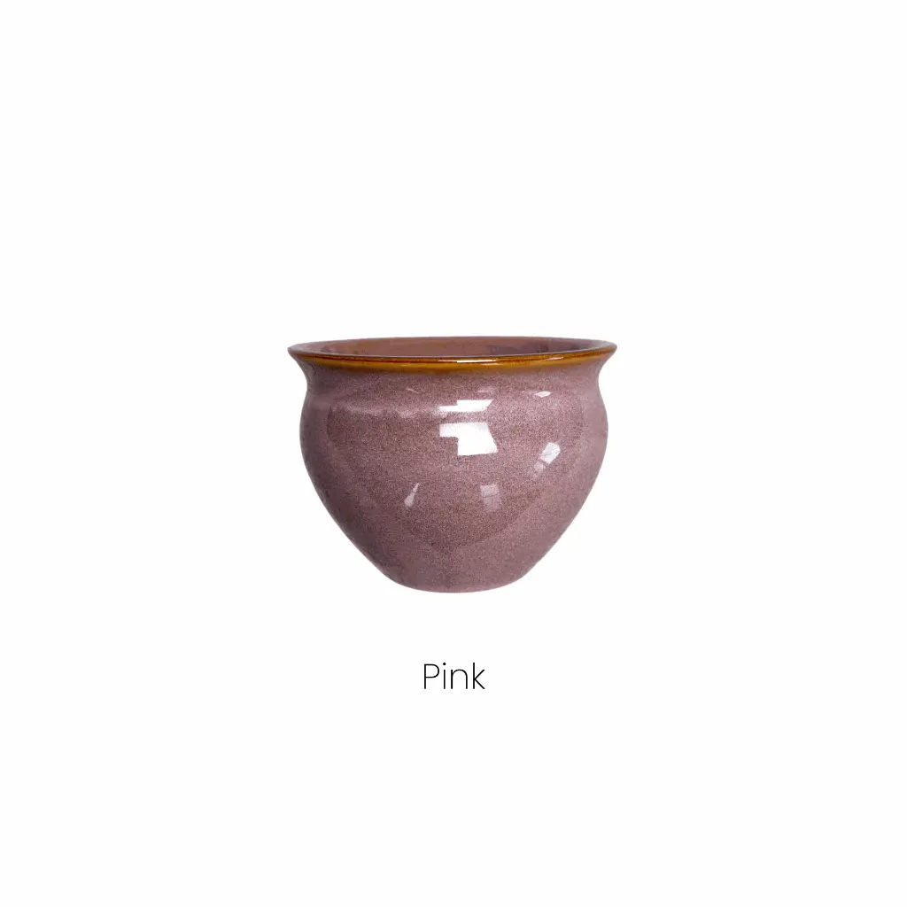 Pink Pot.webp