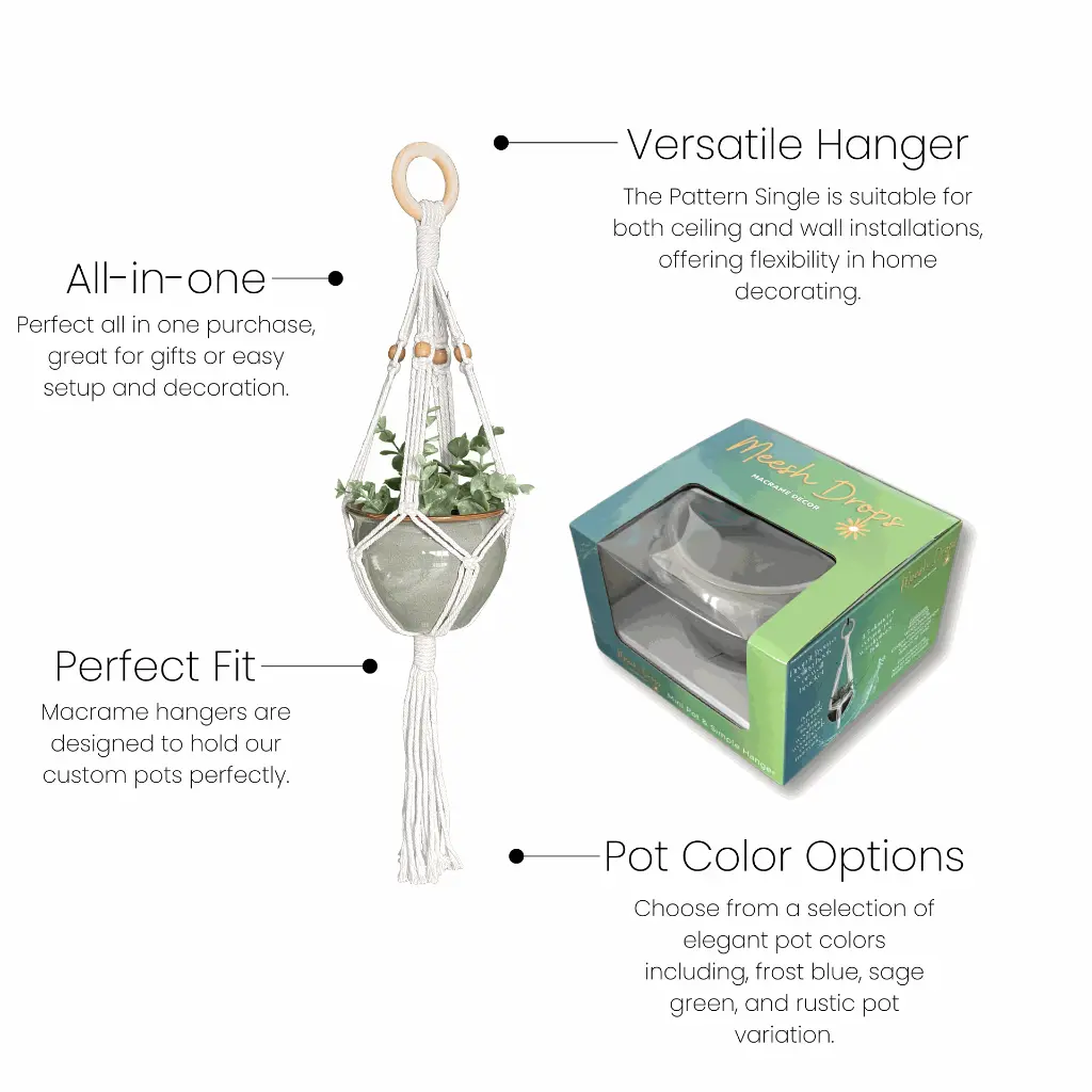 Simple Single Box Set Bullets.webp