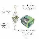 Simple Single Box Set Bullets.webp