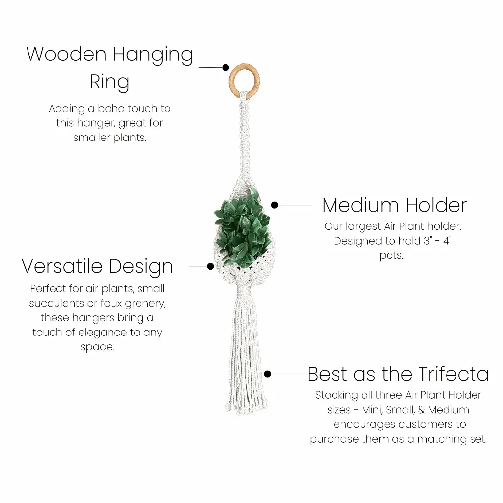 Medium Air Plant Bullets.webp