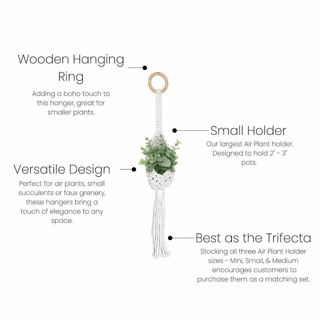 Small Air Plants Bullets.webp