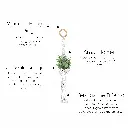 Small Air Plants Bullets.webp