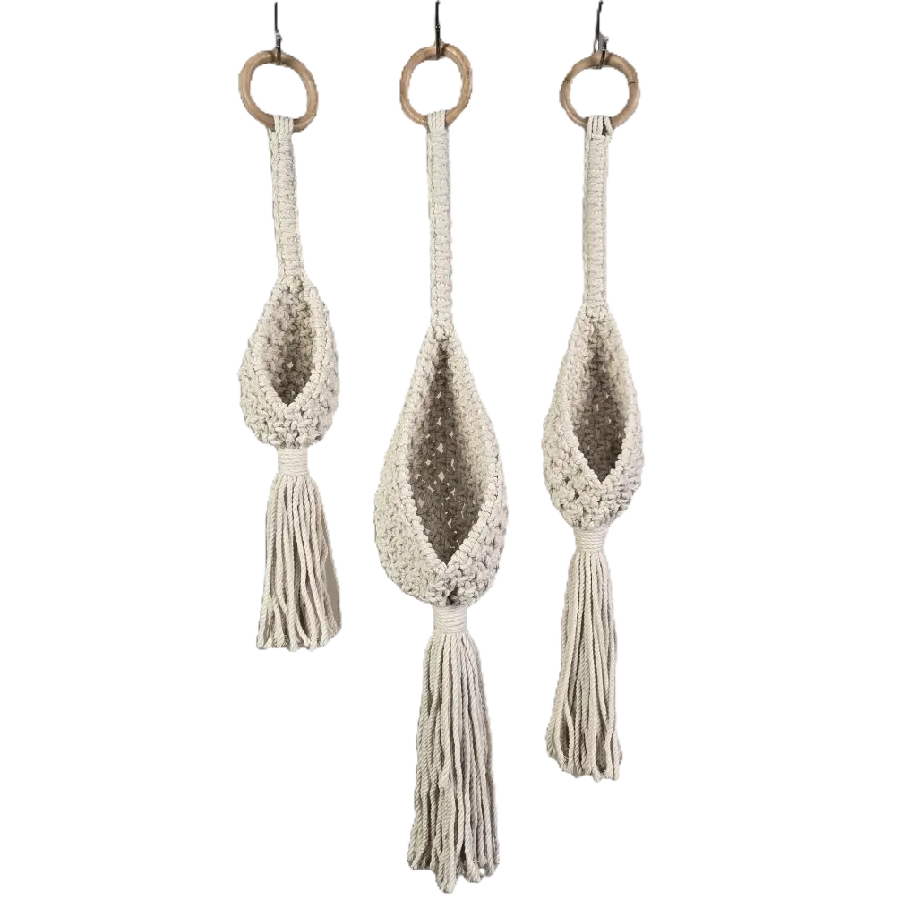 Airplant Holders labeled.webp