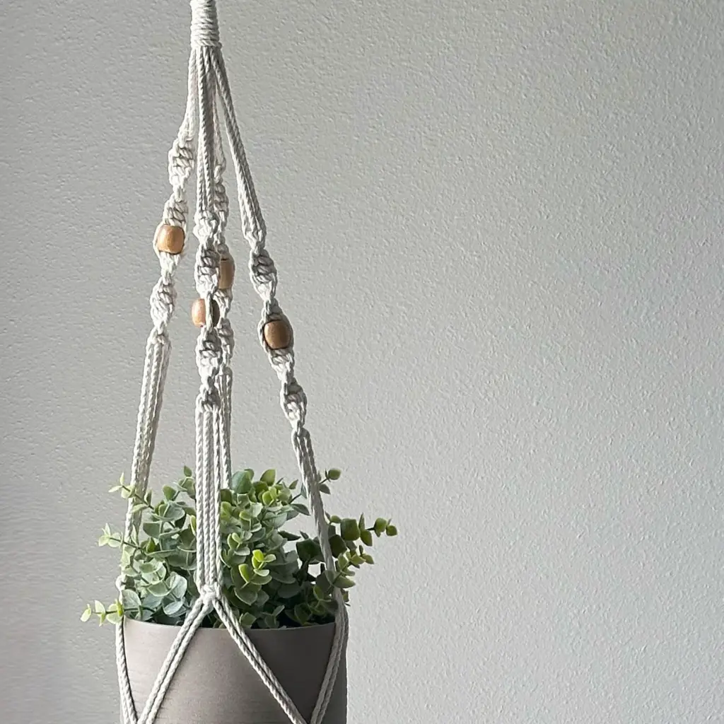 Faire Medium Sag Spiral 2 4656x4656.webp