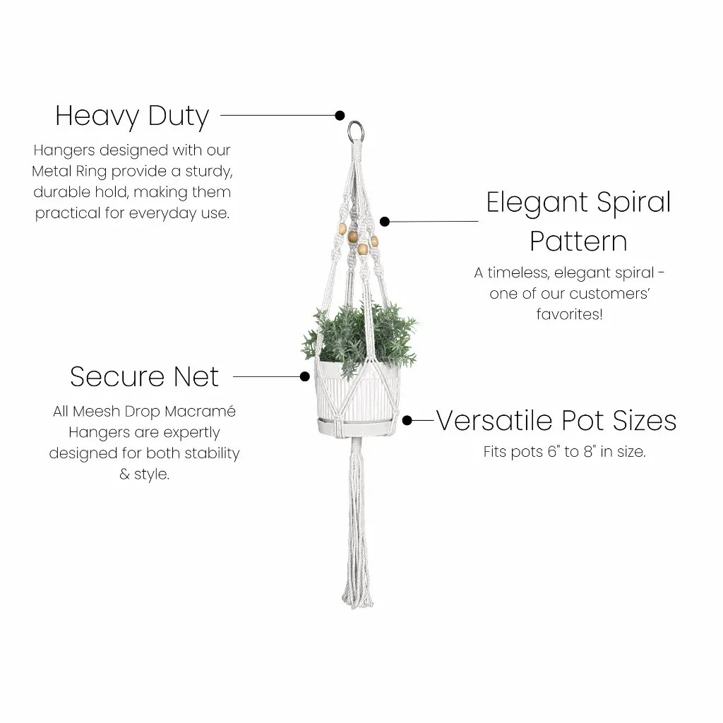 Faire Medium Sag Spiral 4645x4656.webp