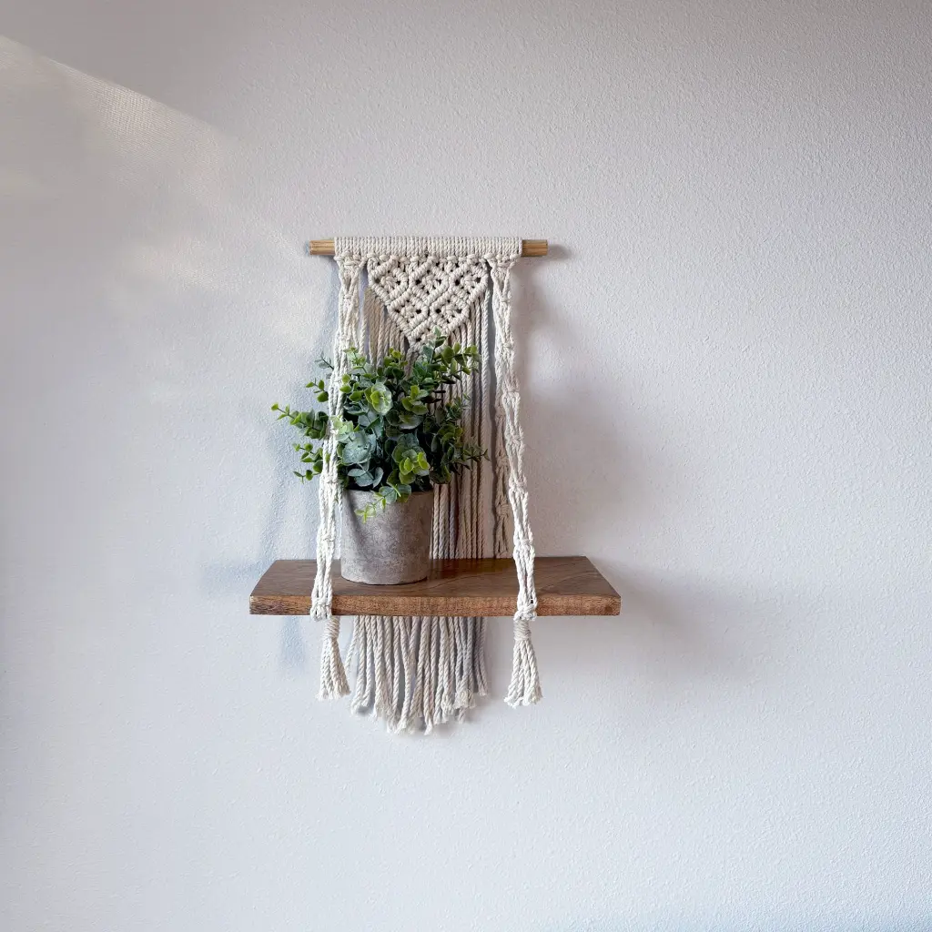 12 Shelf Display 2 4656x4656.webp