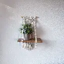 12 Shelf Display 2 4656x4656.webp