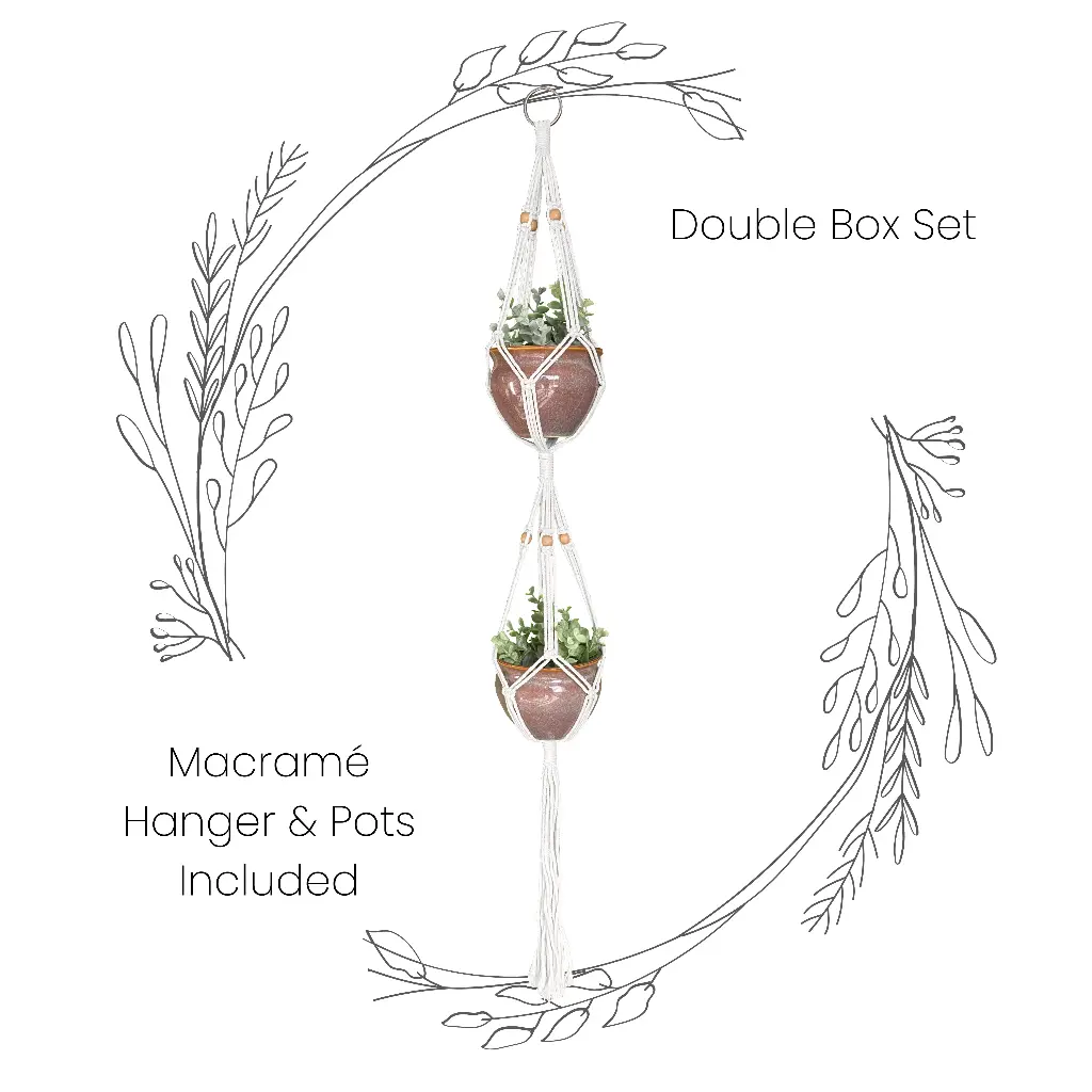 Box Set: Double Macramé Plant Hanger &  2 Ceramic Pots