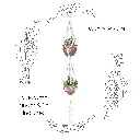Box Set: Double Macramé Plant Hanger &  2 Ceramic Pots