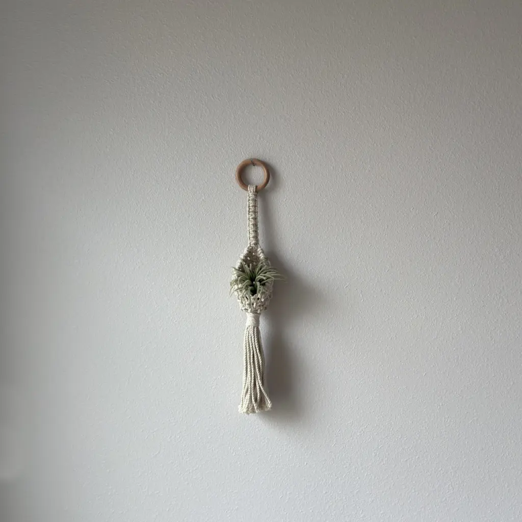 Macramé Air Plant Holders
