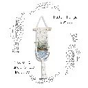 Box Set: Pattern Single Macramé Plant Hanger & Ceramic Pot