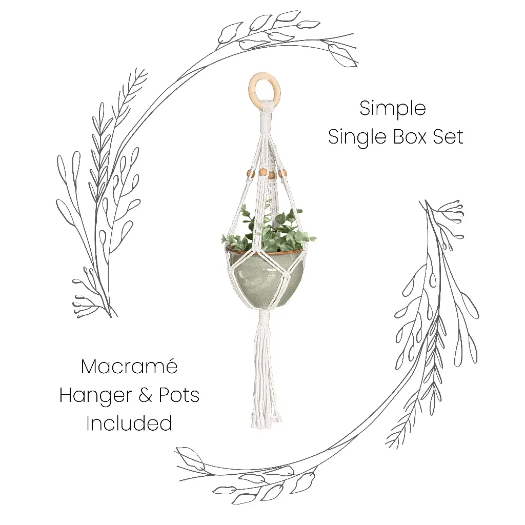Box Set: Simple Single Macramé Plant Hanger & Ceramic Pot