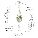 Box Set: Simple Single Macramé Plant Hanger & Ceramic Pot